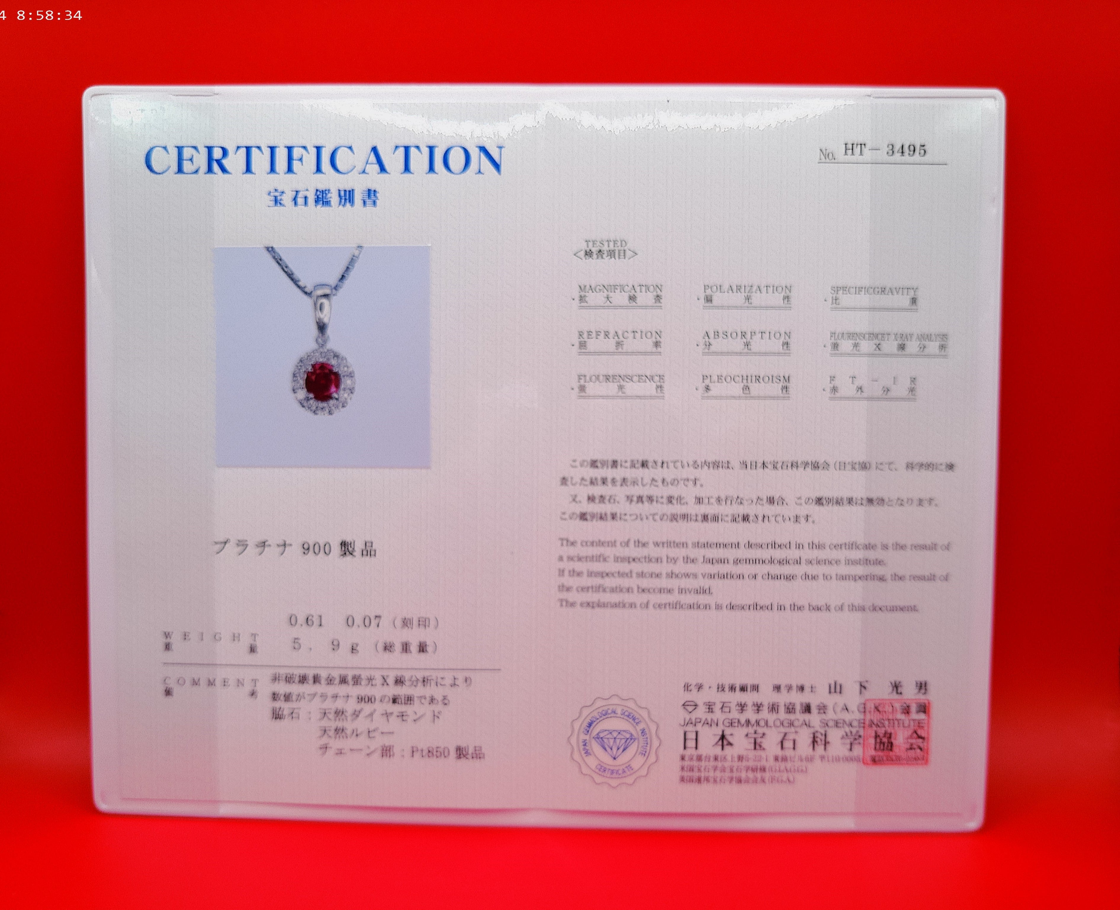 Ruby and Diamond Necklace (Large | July Birthstone)